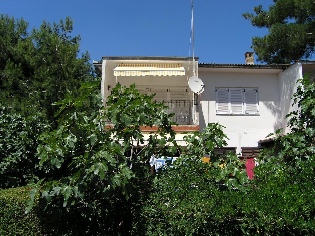 Apartment Damijan คิร์ก ภายนอก รูปภาพ